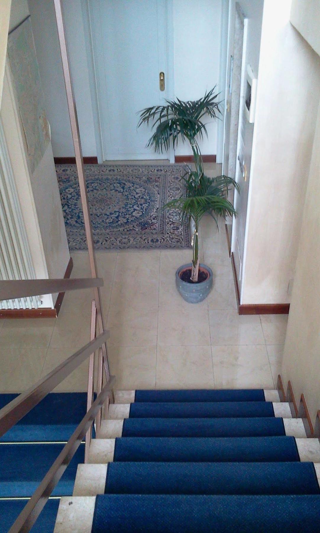 Original Turín